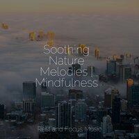 Soothing Nature Melodies | Mindfulness