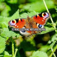 70 Mind Soothing Natural Auras