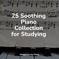 25 Soothing Piano Collection for Studying