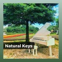 Natural Keys