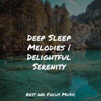 Deep Sleep Melodies | Delightful Serenity