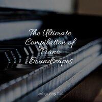 Soothing Piano Melodies