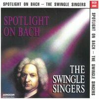 Spotlight on Bach