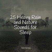 25 Ambient Rain Sounds