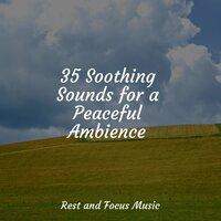 35 Soothing Sounds for a Peaceful Ambience