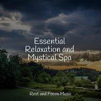 Essential Relaxation and Mystical Spa