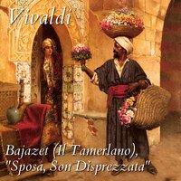 Bajazet (Il Tamerlano), RV 703, Act II: "Sposa, Son Disprezzata"