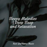 Sleepy Melodies | Deep Sleep and Relaxation