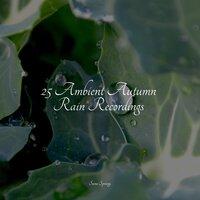 25 Ambient Autumn Rain Recordings