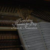 25 Comforting Melodies for Deep Focus & Relaxation
