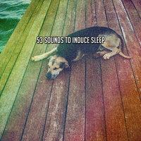 53 Sounds To Induce Sleep