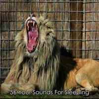 56 Your Sounds For Sleeping