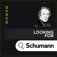 Looking for Schumann