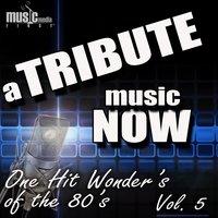 A Tribute Music Now: One Hit Wonder's of the 80's, Vol. 5