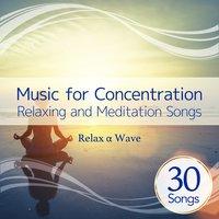 Music for Concentration - Relaxing and Meditation Songs
