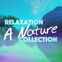 Relaxation: A Nature Collection