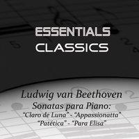 Beethoven - Piano Sonatas No.14 "Moonlight" -  No. 8 "Pathetique" - No. 23 "Appasionatta" -  Bagatelle In A Minor, Op. 59, "Für Elise"
