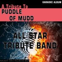 A Tribute to Puddle of Mudd