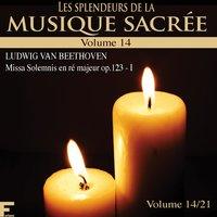 Les splendeurs de la musique sacrée, Vol. 14