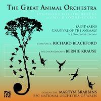 The Great Animal Orchestra, Symphony for Orchestra and Wild Soundscapes