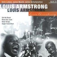 Louis Armstrong -Sein Leben, seine Musik, seine Schallplatten, Vol.3