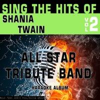 Sing the Hits of Shania Twain, Vol. 2