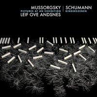 Mussorgsky: Pictures Reframed