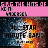 Sing the Hits of Keith Anderson