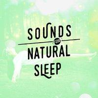 Sounds for Natural Sleep