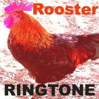 Rooster Ringtone