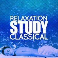 Relaxation Study Classical