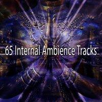 65 Internal Ambience Tracks