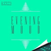 Classical Music Experience - Evening Mood