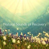 Natural Sounds of Recovery