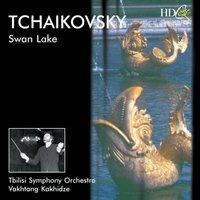 Swan Lake, Op.20 (Excerpts from the Ballet)