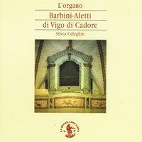 L'organo Barbini & Aletti