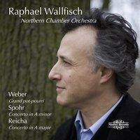 Weber, Spohr, Reicha & Danzi: Works for Cello and Orchestra