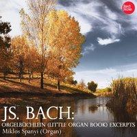 Bach: Orgelbüchlein (Little Organ Book) Excerpts