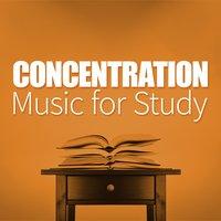 Concentration Music for Study