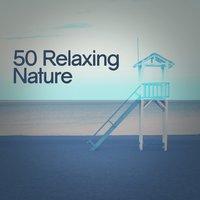50 Relaxing Nature