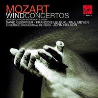 Trumpet Concerto in D Major: II - Allegro moderato