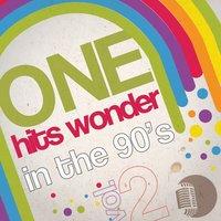 One Hits Wonder in the 90's, Vol. 2