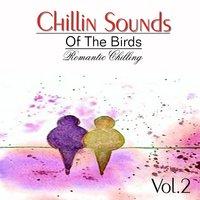 Chillin Sound of Birds, Vol. 2