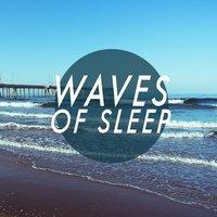 Waves of Sleep