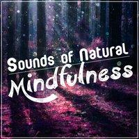 Sounds of Natural Mindfulness