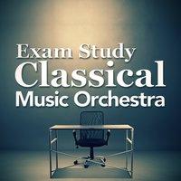 Exam Study Classical Music Orchestra