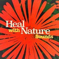 Heal with Nature Sounds