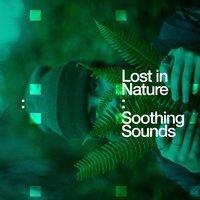 Lost in Nature: Soothing Sounds