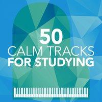 50 Calm Tracks for Studying