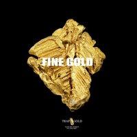 Fine Gold